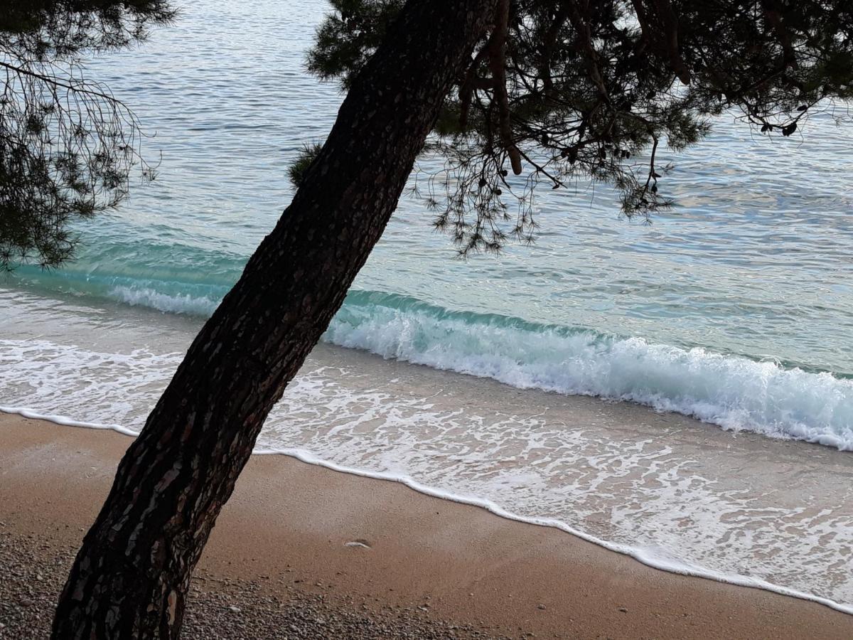 Studio With Magic View Podgora Exterior photo